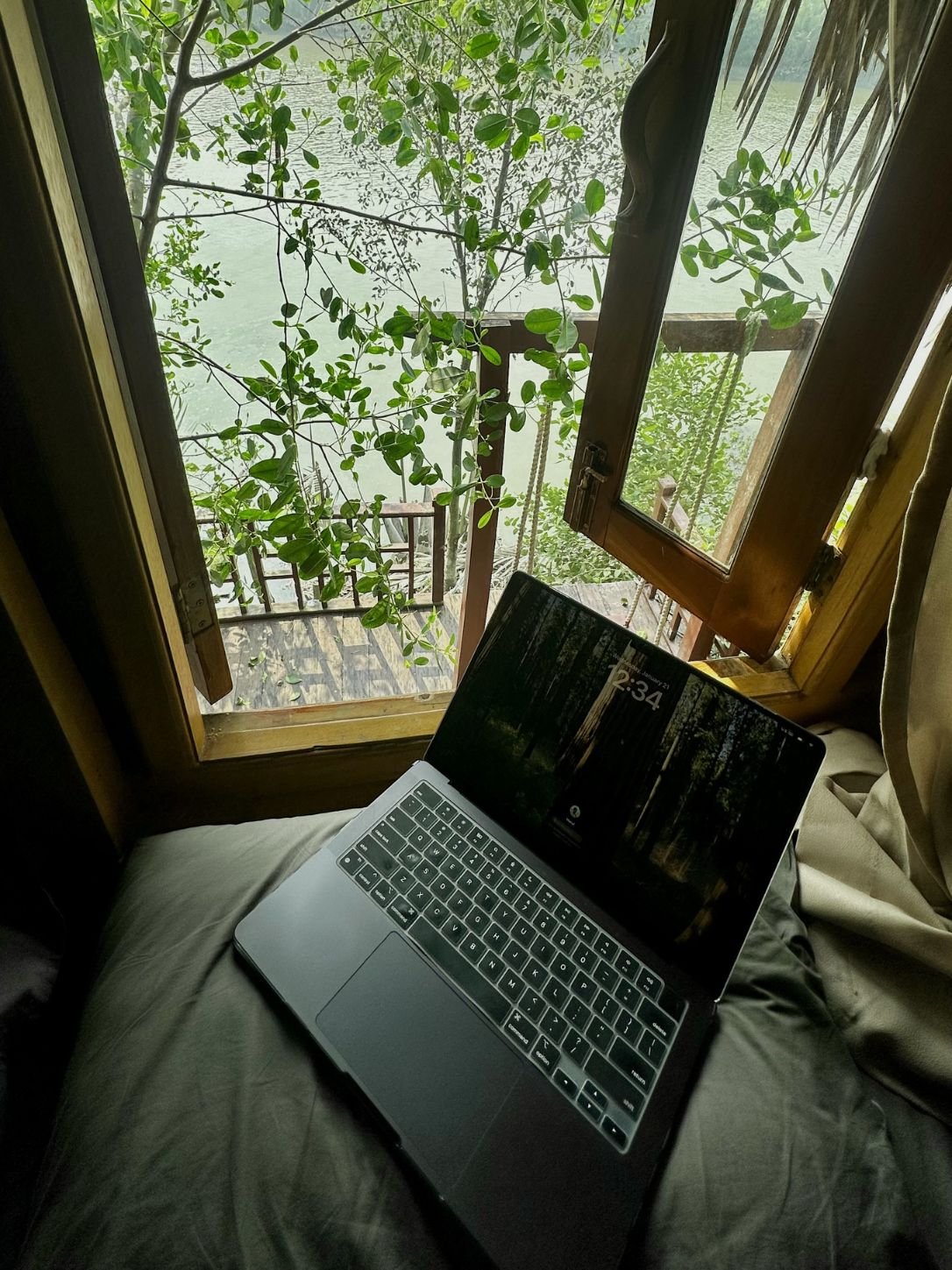 Mo's laptop by the window, working from a treehouse in the Sundarbans